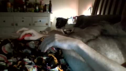 hardnick696 online show from 02/13/25, 03:39