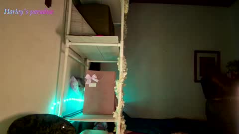 900 am to 300 pm - GTM 5 Weekdays online show from 11/28/25, 06:16