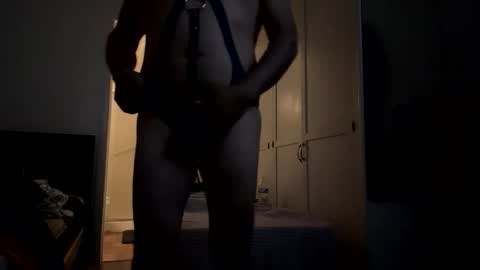 Snapshot of harnessman69 chatting on 11/10/25, 08:46 harnessman69 online show from 11/10/25, 08:46