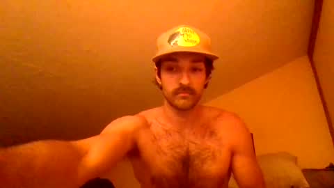harrycheeks online show from 06/29/26, 06:41