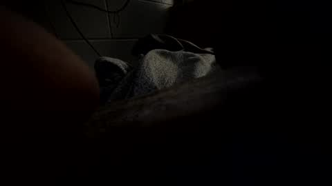 Snapshot of hartwell84 chatting on 01/23/25, 10:22 J Hart online show from 01/23/25, 10:22