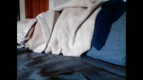 Snapshot of havier282874 chatting on 06/09/26, 04:57 havier282874 online show from 06/09/26, 04:57