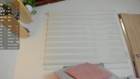 Im Hazel online show from 12/13/24, 10:34