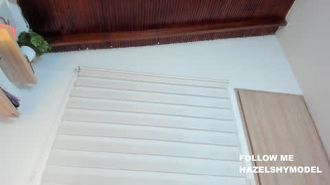 Snapshot of hazel_shy chatting on 02/04/25, 02:17 Im Hazel online show from 02/04/25, 02:17