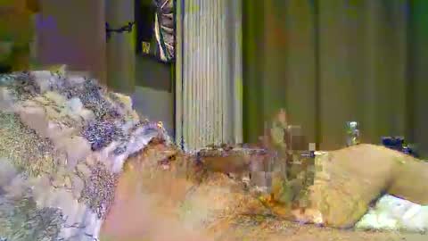 Snapshot of heddamedda59 chatting on 04/03/26, 04:16 heddamedda59 online show from 04/03/26, 04:16