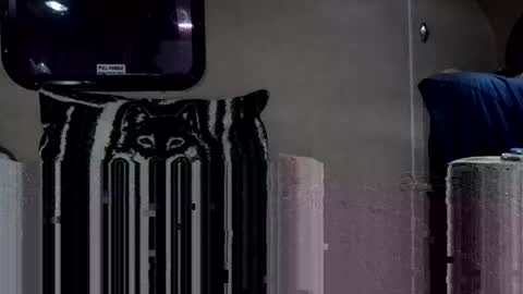 Snapshot of heelerman9503 chatting on 03/22/26, 09:34 Heelerman online show from 03/22/26, 09:34