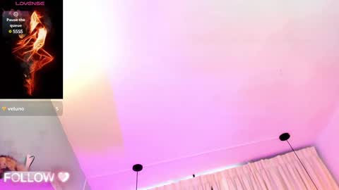              online show from 02/12/25, 09:11