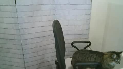 Snapshot of helen_xi chatting on 01/13/26, 05:24 Helen online show from 01/13/26, 05:24