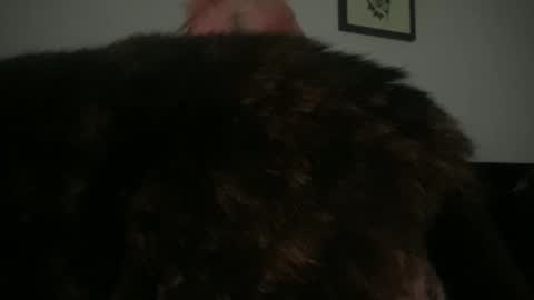 Bunnie Rotz online show from 03/02/25, 02:32