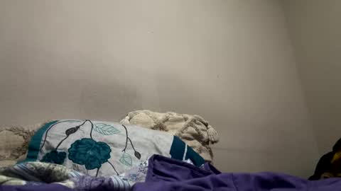 Snapshot of hellokitten123 chatting on 01/28/25, 09:40 hellokitten123 online show from 01/28/25, 09:40