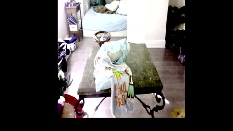 Snapshot of henryflapper chatting on 01/04/25, 07:44 HenryFlapper online show from 01/04/25, 07:44