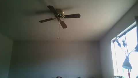 hermannbukowski online show from 10/20/25, 04:40