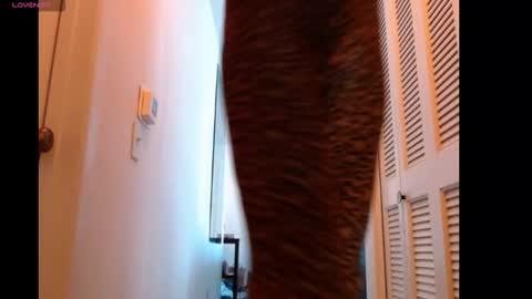 Snapshot of hevin69 chatting on 02/15/26, 07:10 hevin69 online show from 02/15/26, 07:10