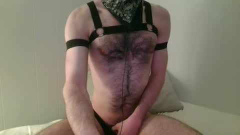 Snapshot of hex_otter chatting on 03/01/26, 05:20 Hector or Hex for short online show from 03/01/26, 05:20