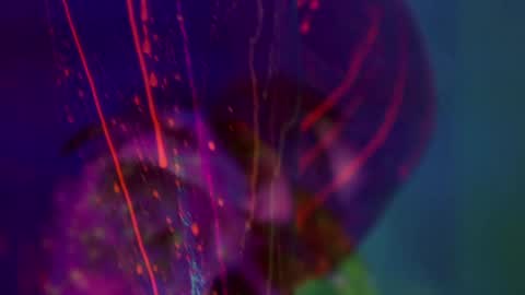 Snapshot of heybanan chatting on 01/14/26, 06:46 Alina online show from 01/14/26, 06:46