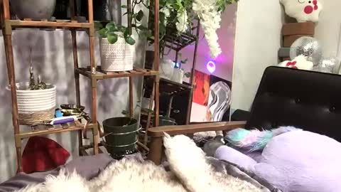 Snapshot of heynicole01 chatting on 01/03/25, 04:44 FlexieFae online show from 01/03/25, 04:44