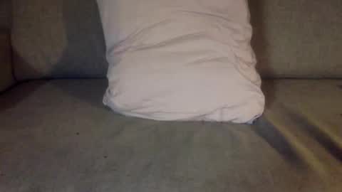 fit uk decorator online show from 11/07/25, 08:42