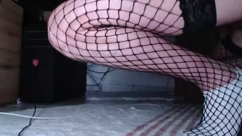 Snapshot of hibo66 chatting on 12/16/25, 03:11 InMyAss online show from 12/16/25, 03:11