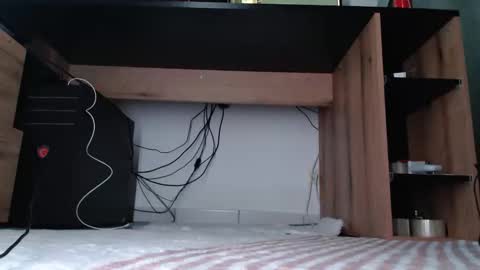 Snapshot of hibo66 chatting on 01/11/26, 03:33 InMyAss online show from 01/11/26, 03:33