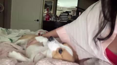 HiddenR0se online show from 02/14/26, 03:14