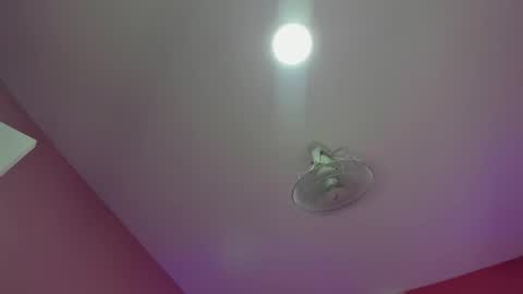 hilary_tailor online show from 12/19/25, 11:17