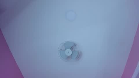 hilary_tailor online show from 12/20/25, 11:28