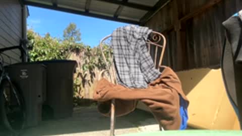 Hippie Jijm online show from 04/17/26, 07:39