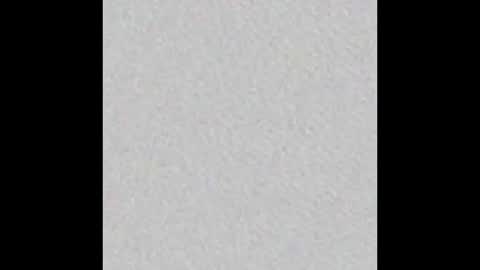 hofnung online show from 02/14/26, 02:08