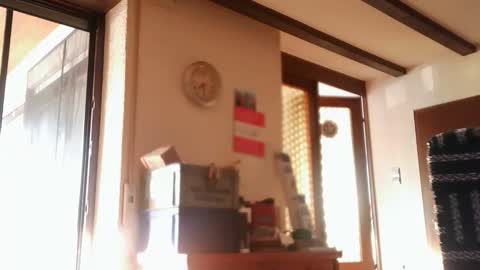 hofnung online show from 05/23/26, 05:28
