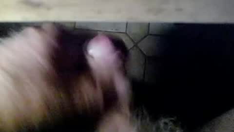 hofnung online show from 06/24/26, 12:31