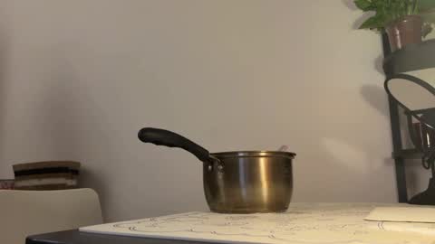 amy online show from 10/08/25, 04:15