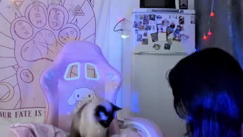 Snapshot of holy420loly chatting on 01/18/26, 06:23 Ho Lee Sheet online show from 01/18/26, 06:23