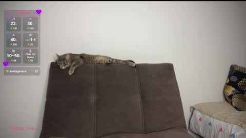 Snapshot of holybabe342 chatting on 03/01/25, 08:21 Vio online show from 03/01/25, 08:21