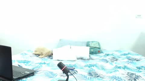 Snapshot of holycode chatting on 02/02/25, 10:57 Holycode online show from 02/02/25, 10:57