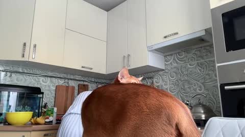 dori not holy get my tg channel with link from description under last photo online show from 02/10/25, 08:53