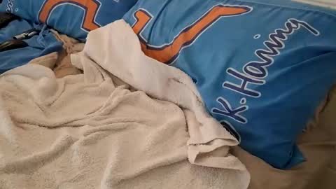 Snapshot of homer1976 chatting on 03/06/25, 02:41 Homer online show from 03/06/25, 02:41