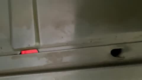 Snapshot of hondodeasy chatting on 02/25/26, 02:16 hondodeasy online show from 02/25/26, 02:16