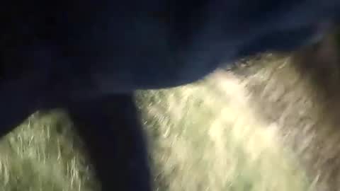 Snapshot of honky220557 chatting on 09/13/25, 12:10 Jovante online show from 09/13/25, 12:10