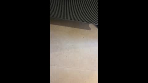 Snapshot of horny4more691 chatting on 03/10/26, 06:57 horny4more691 online show from 03/10/26, 06:57