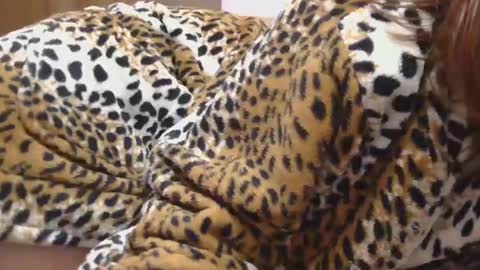 Snapshot of horny_hey chatting on 02/22/25, 10:20 Serena online show from 02/22/25, 10:20