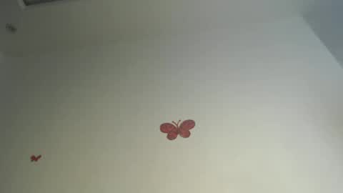 Iris online show from 06/16/26, 08:33