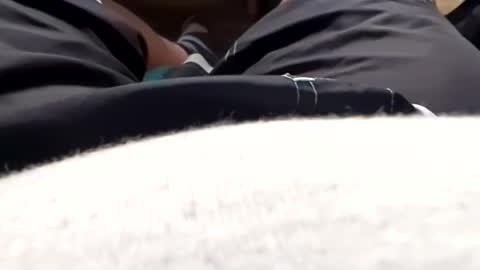 Tiny cock online show from 05/17/26, 11:17