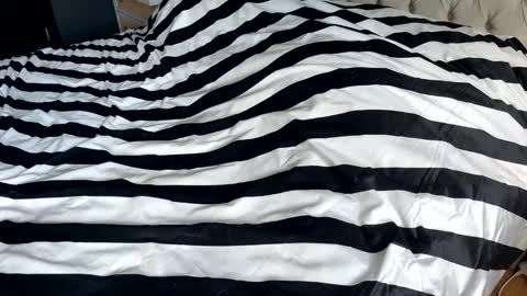 Snapshot of hornyasscouple1009 chatting on 01/17/26, 11:37 hornyasscouple1009 online show from 01/17/26, 11:37