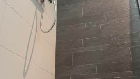 Snapshot of hornycougarlover420 chatting on 03/24/26, 12:32 Toyboy online show from 03/24/26, 12:32