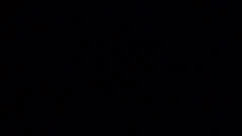 horsebrowm online show from 01/02/25, 02:33