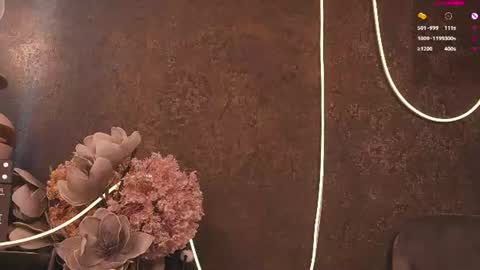Ann online show from 06/12/26, 04:33
