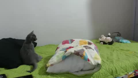 Hot and PowerHOPE U MISS ME online show from 01/14/25, 06:45