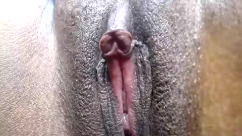 Snapshot of hotcake4567 chatting on 02/25/26, 12:09 hotcake4567 online show from 02/25/26, 12:09