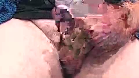 Snapshot of hotcam96 chatting on 12/15/24, 03:31 hotcam96 online show from 12/15/24, 03:31