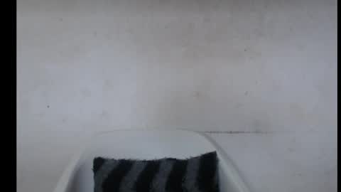 Snapshot of hotjessie0 chatting on 10/07/25, 05:04 hotjessie0 online show from 10/07/25, 05:04